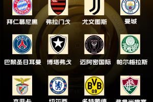 16强洲际顶级冠军数：皇马15冠断层，15队均至少1座&迈阿密0座